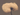 Cotton bud image