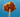 cotton tree